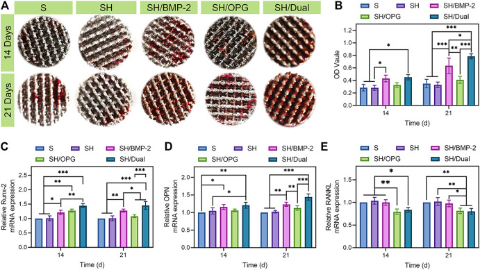 FIGURE 3