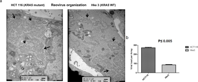 Figure 4a