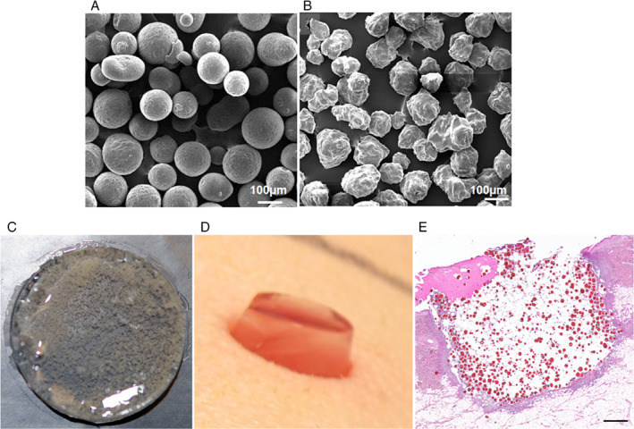 IWJ-12791-FIG-0001-c