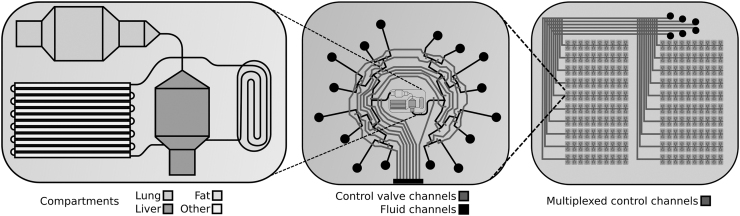 FIG. 1.