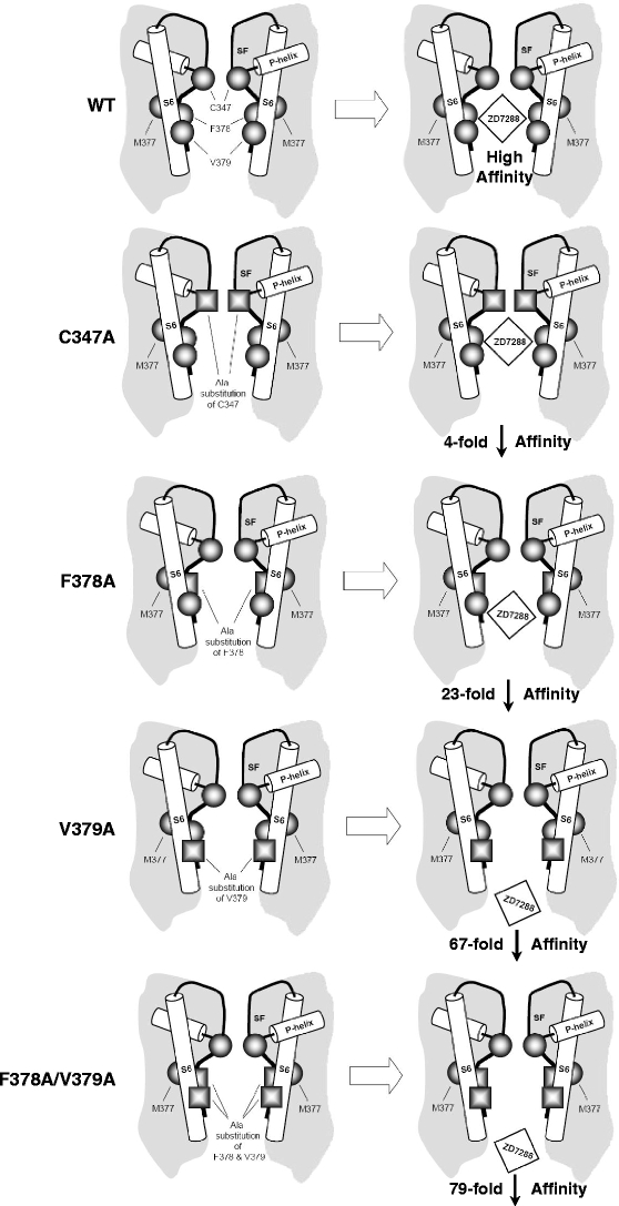 Fig. 8