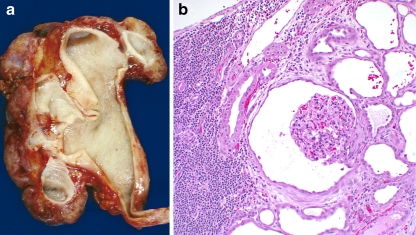 Fig. 4