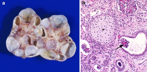 Fig. 3