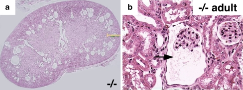 Fig. 6