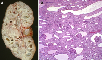 Fig. 1