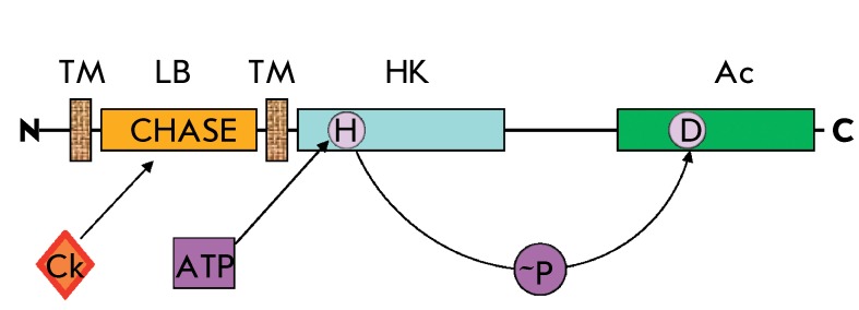 Fig. 2