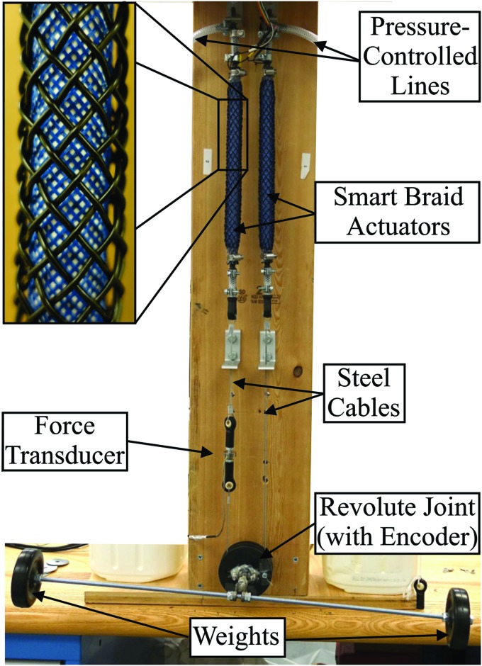 FIG. 2.