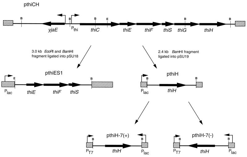 FIG. 6