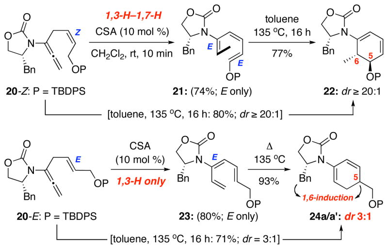 Scheme 5