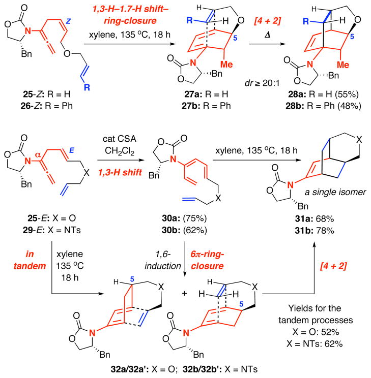 Scheme 6