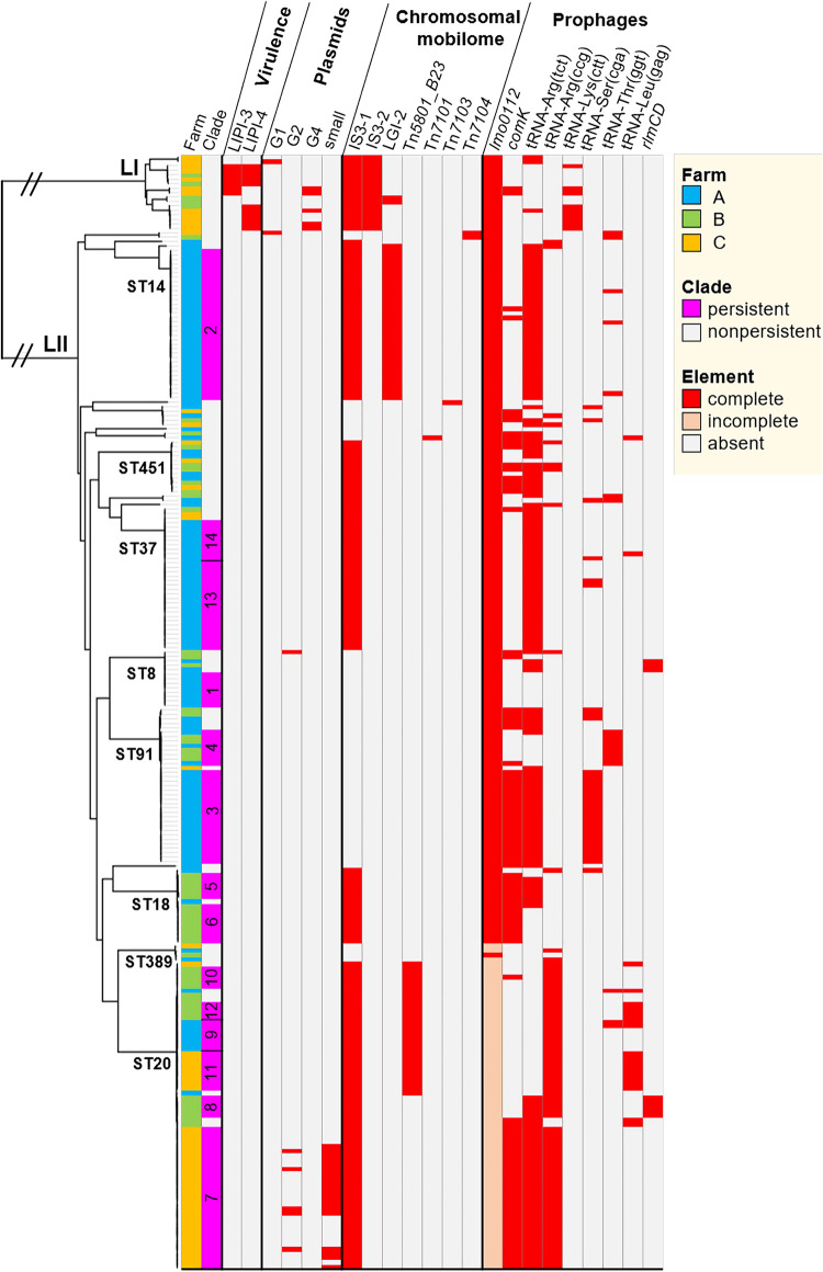 FIG 2