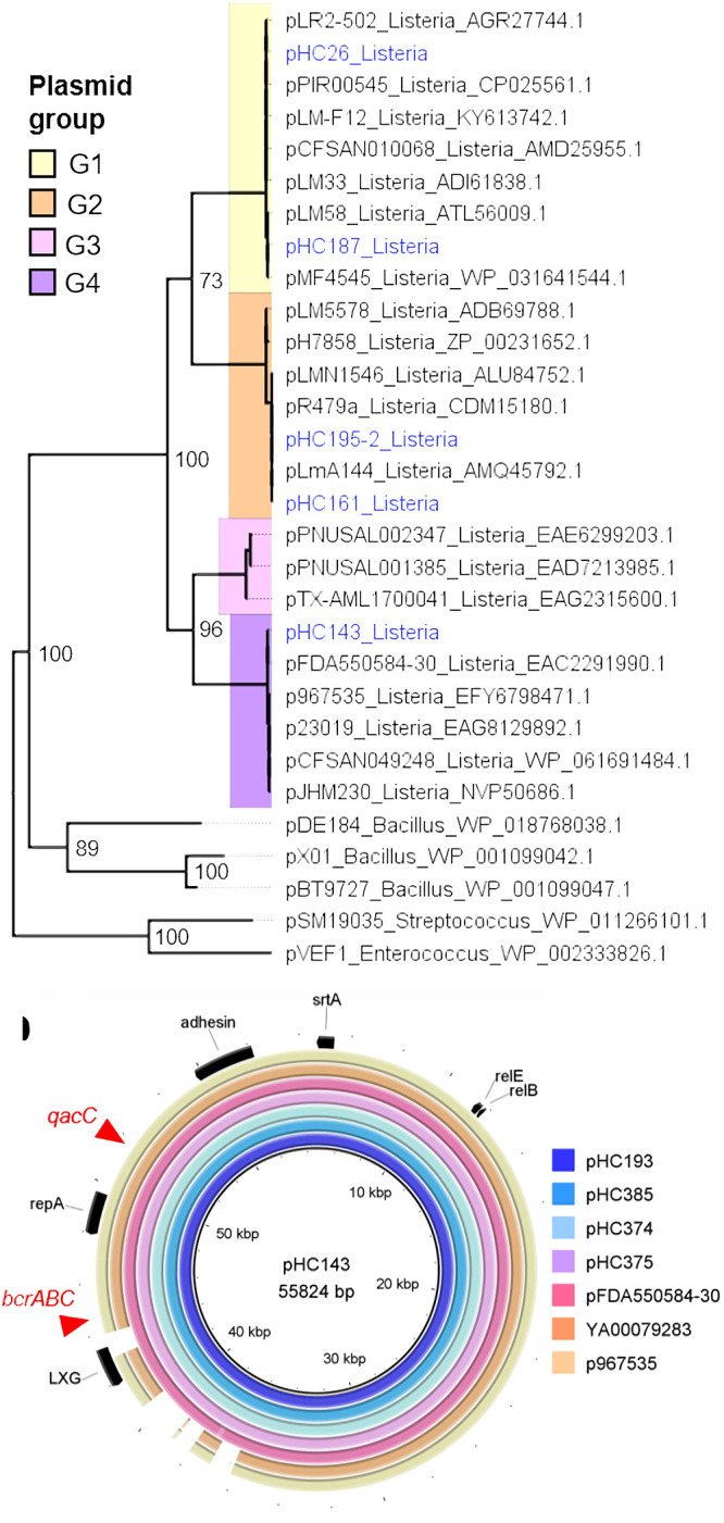 FIG 4