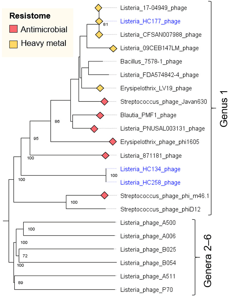 FIG 6