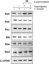 FIG. 5.