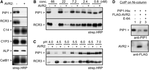 Figure 7.