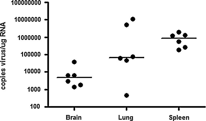 FIG. 6.