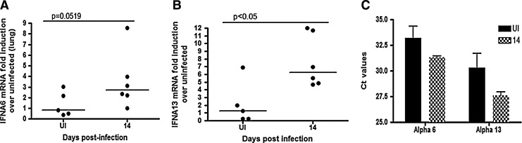 FIG. 4.