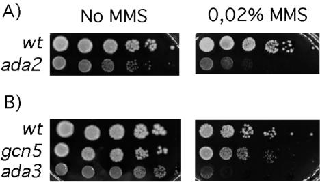 FIG. 7.