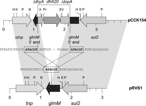 FIG. 1.