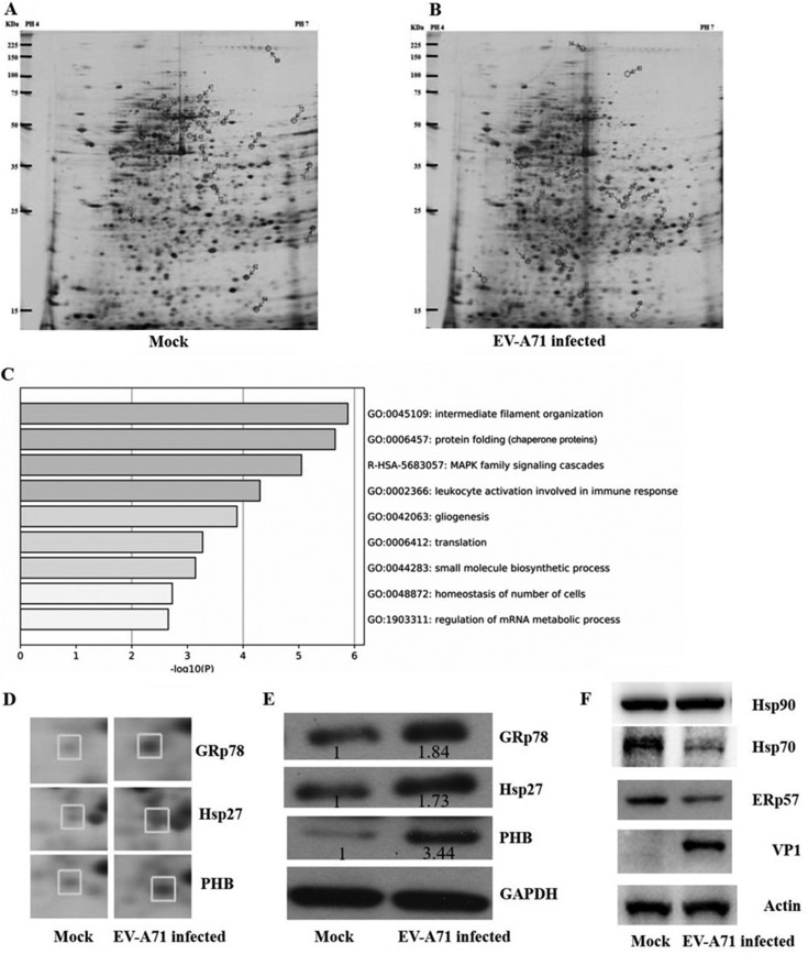 FIG 1