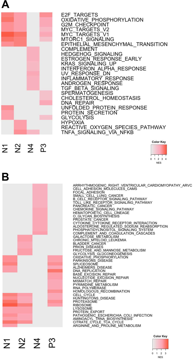 Fig. 8