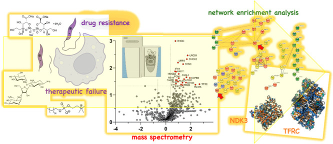 graphic file with name id2c00457_0009.jpg