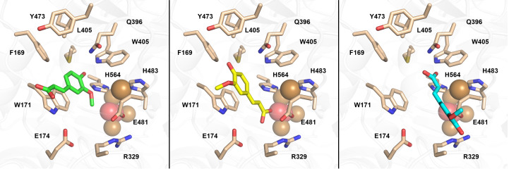 Figure 10