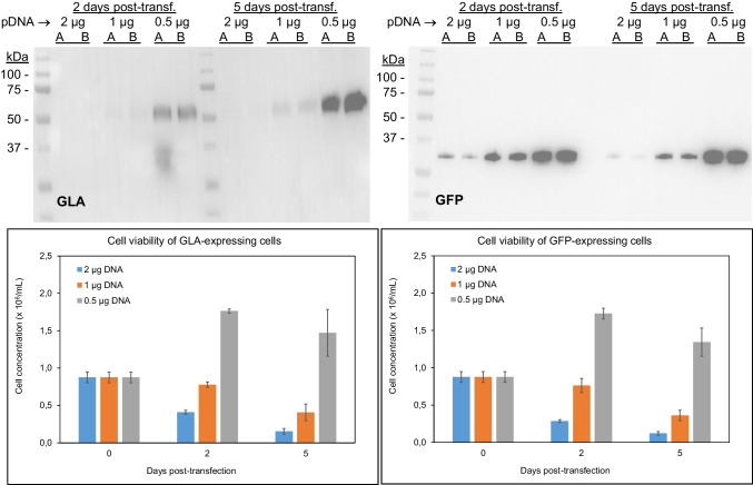Fig. 6