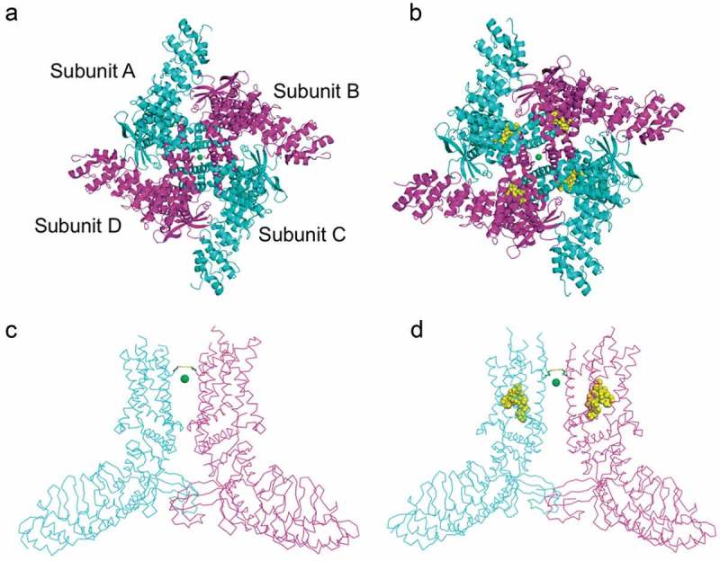 Figure 3.