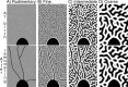Figure 13.