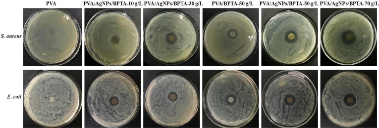 Fig. 9