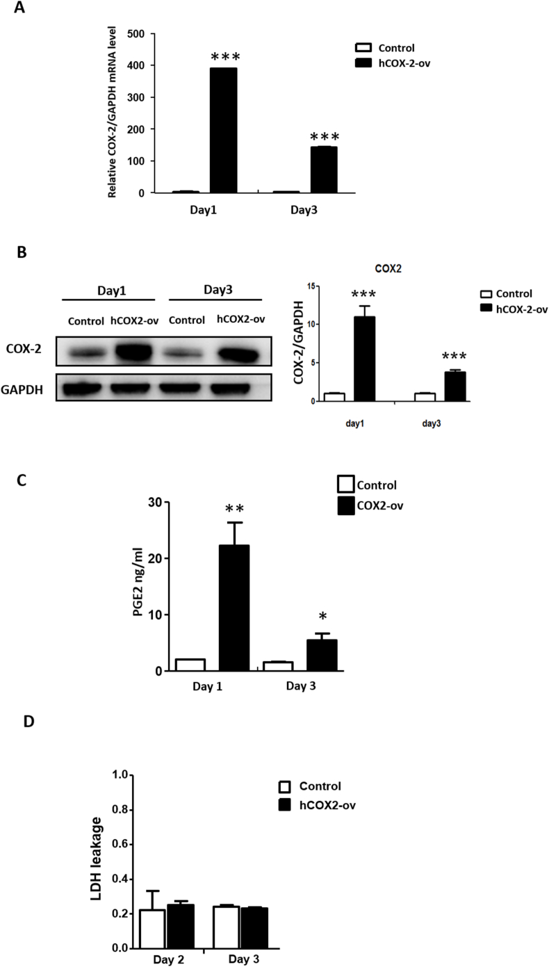 Figure 6