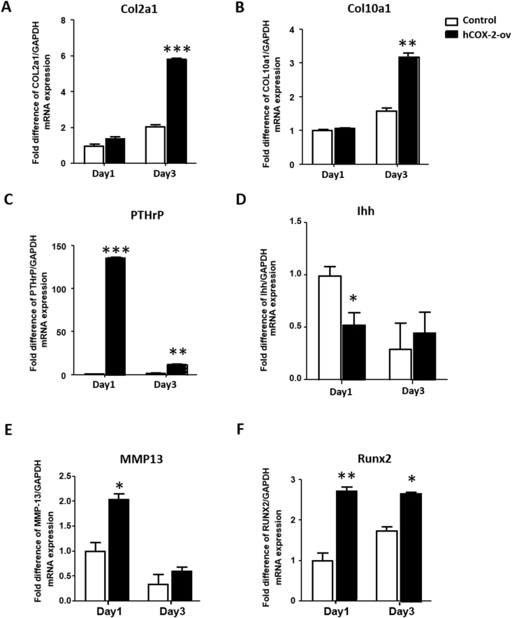 Figure 7