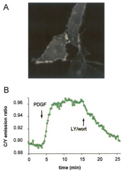 Fig. 4