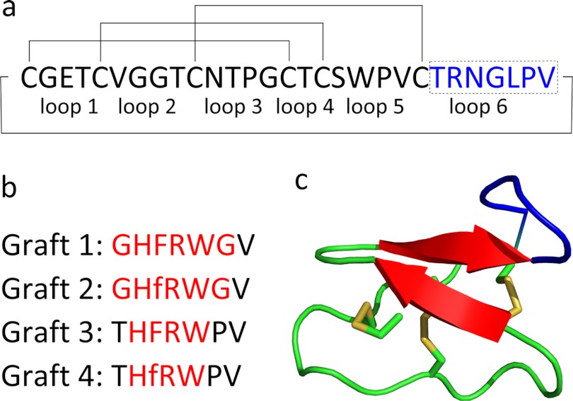 FIGURE 1.