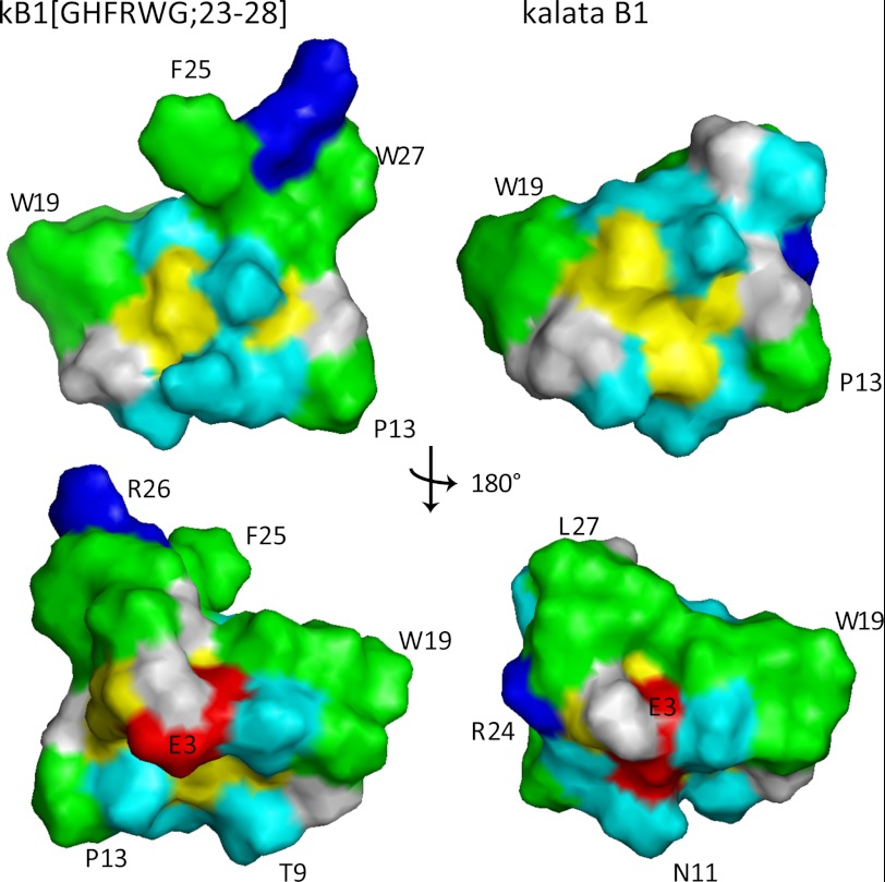 FIGURE 6.