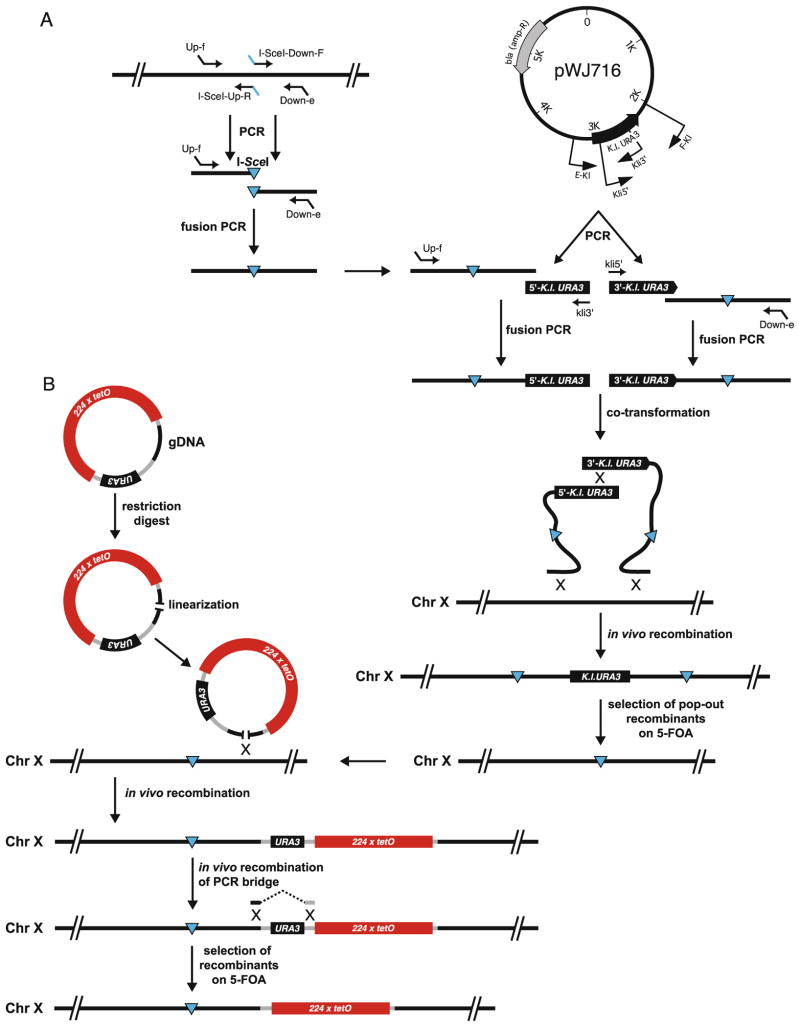 Fig. 30.3