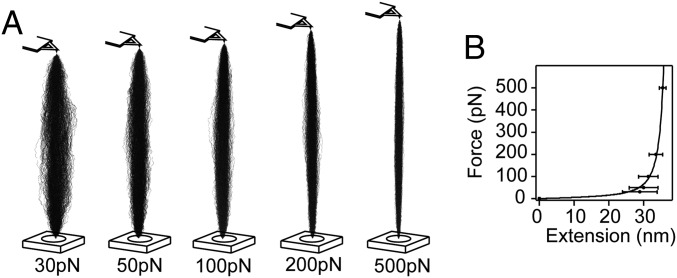 Fig. 5.