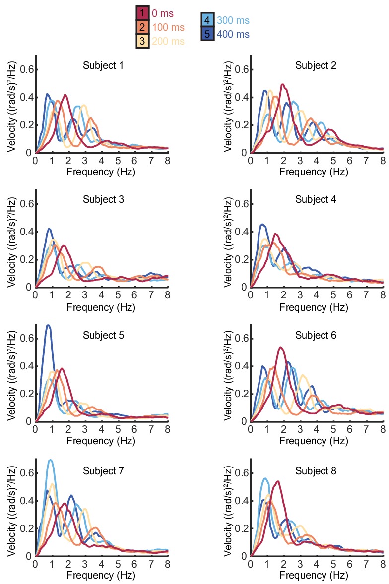 Figure 1—figure supplement 2.