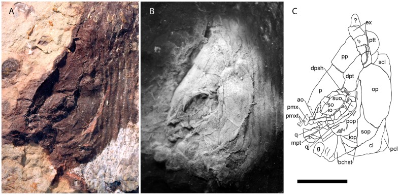 Fig 3