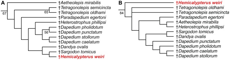 Fig 10