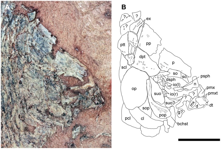 Fig 4