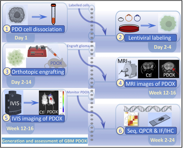 Figure 3