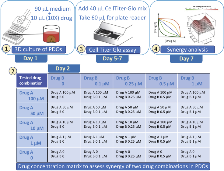 Figure 4