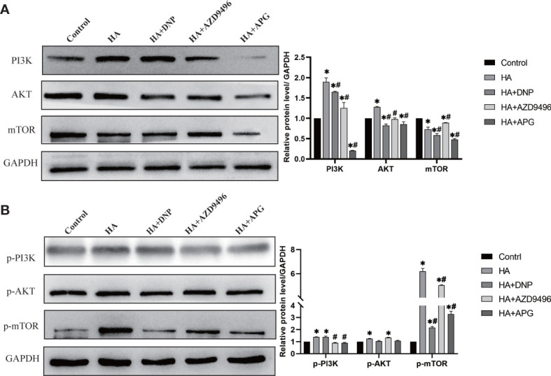 Figure 5