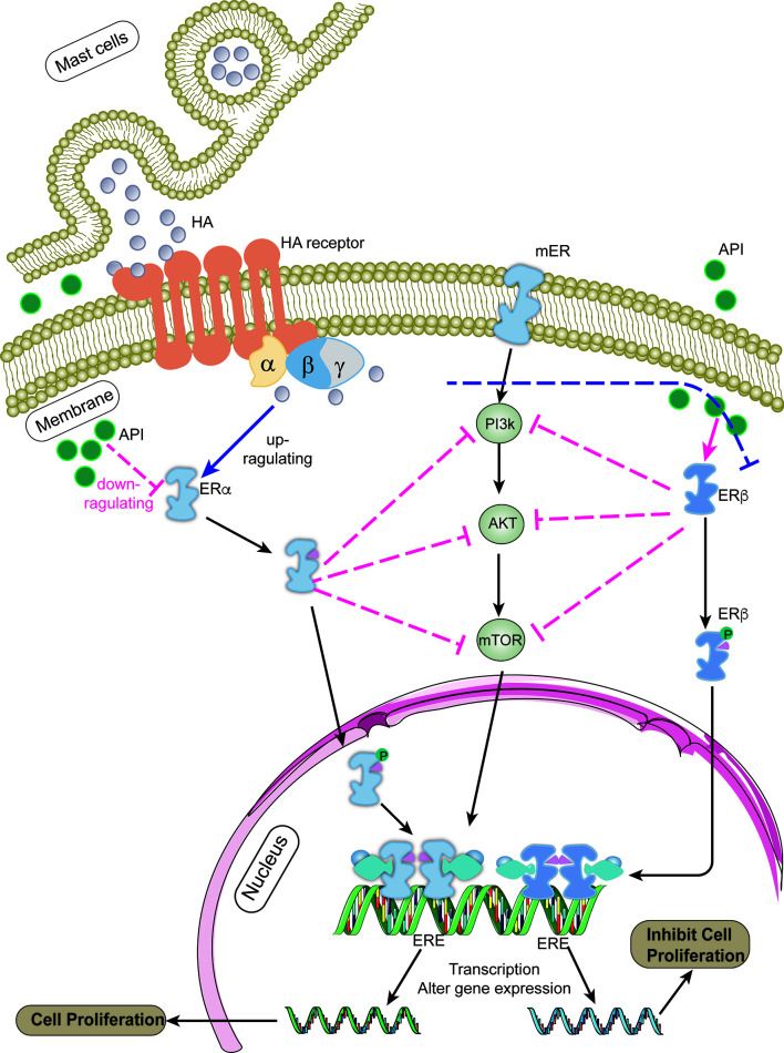 Figure 6