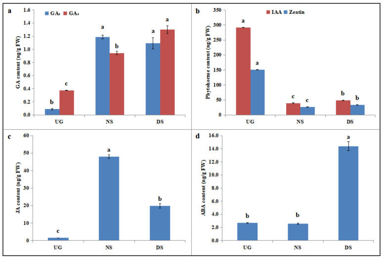 Figure 7