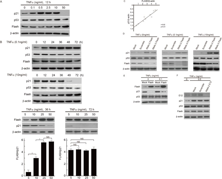 Fig 8