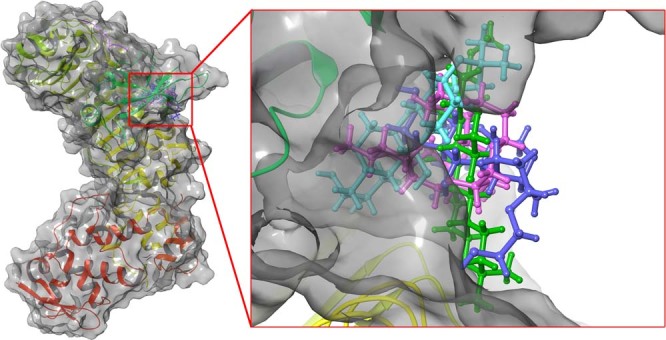 Figure 13