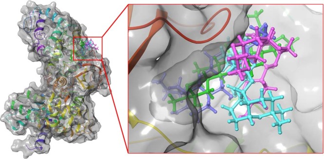 Figure 12